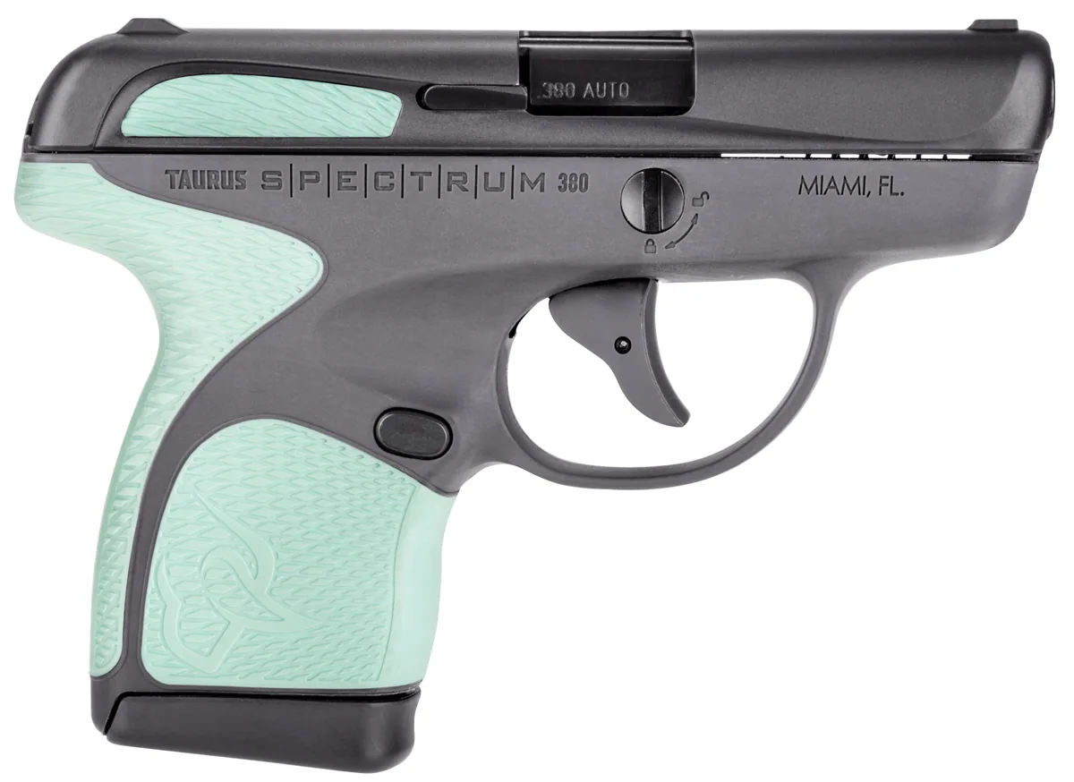 Taurus Spectrum .380 ACP Gray, 6 Rounds